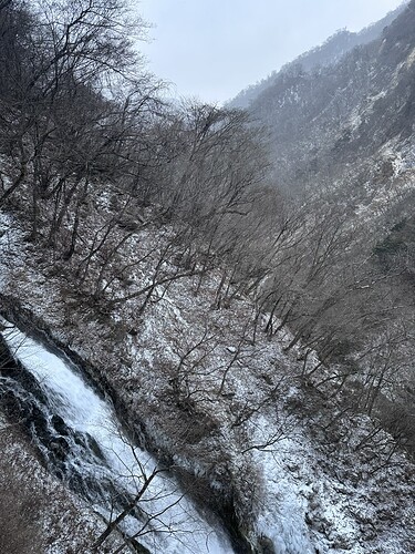 284607E1-6A9B-4D48-A623-5FCE76893EC9_1_105_c