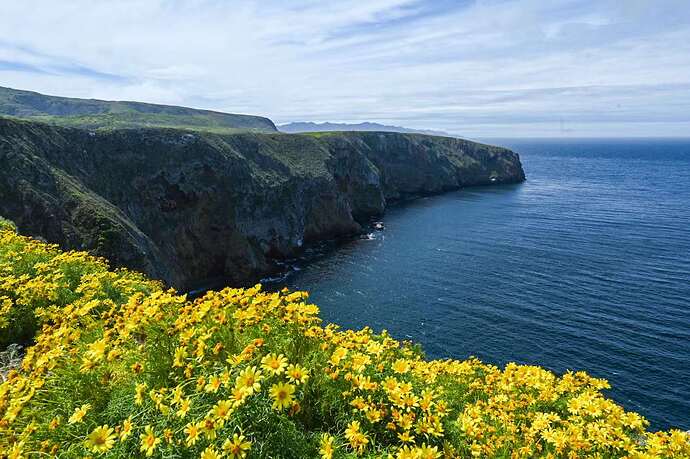 mmexport1721324305344