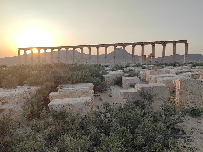 Palmyra 4