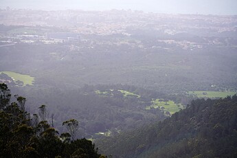 DSC03018
