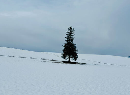 View recent photos 2