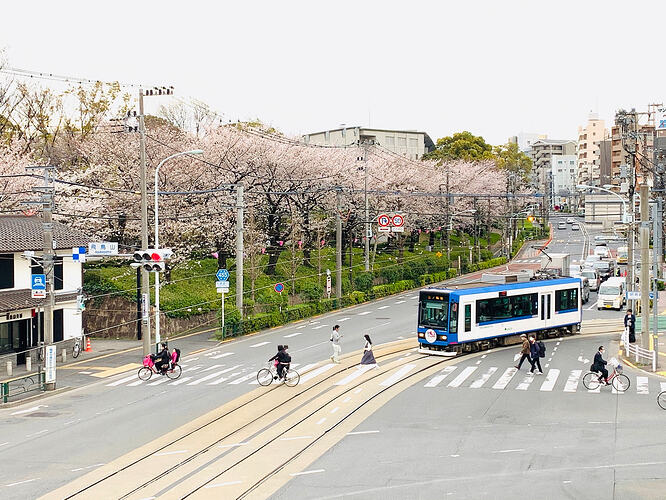 uuid=79CE2094-813D-43AC-AA64-7268FB051F4A&code=001&library=1&type=1&mode=1&loc=true&cap=true