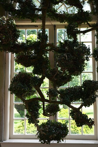 ef54be1e9td0f01d9c485921aa0b64a1