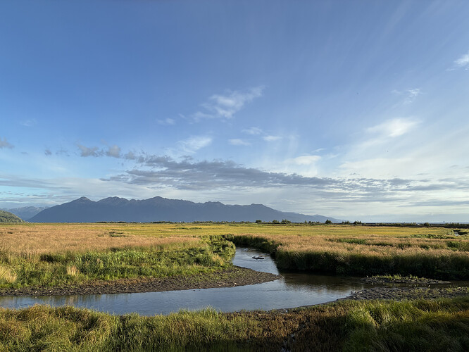 D550E953-9F9C-427B-AF24-70FC0B28A947