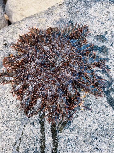 Photo Jul 27 2025, 05 24 55 (27)