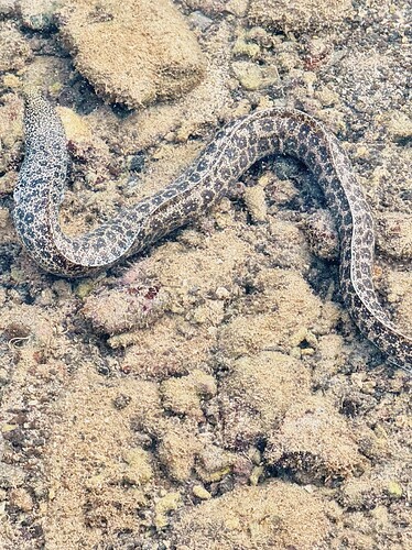 Photo Jul 27 2025, 05 24 55 (27) (1) (1)