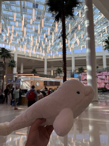 2A222A09-E414-41D0-A206-F3C86C8EE123_1_105_c