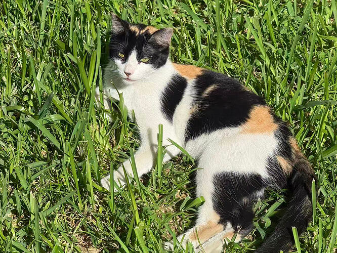 84fb65193929e35e4020128afd7fb12