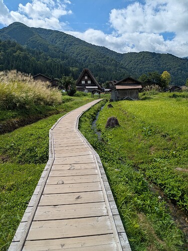 木质小路