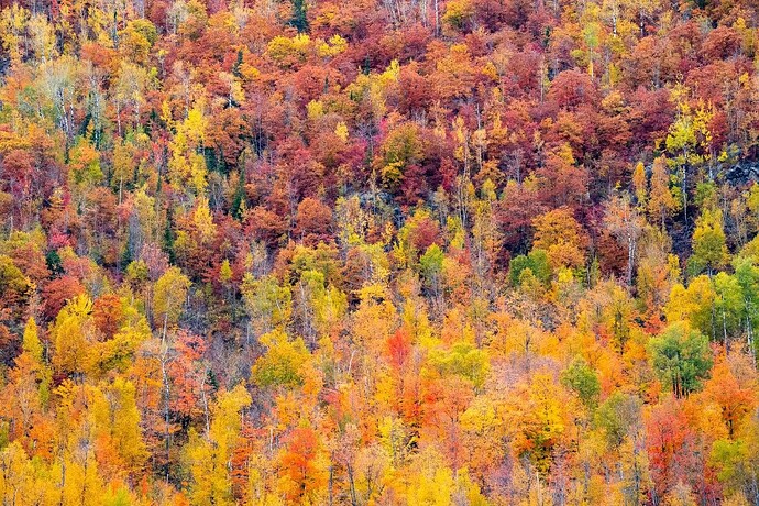 mmexport1726862758904