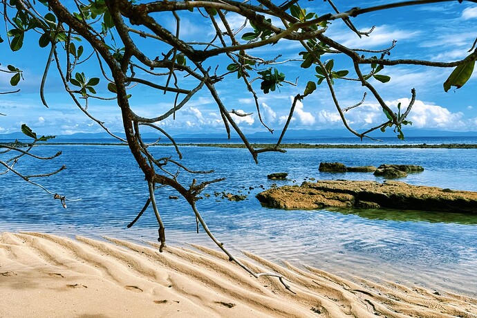 Photo Jul 23 2025, 15 28 41 (6)