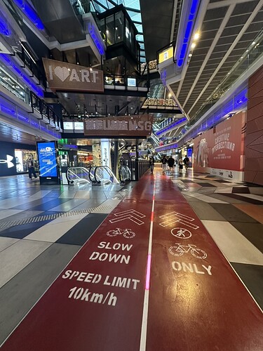 4D7BF532-C32C-4B6A-A8E6-543195D0E00F_1_105_c