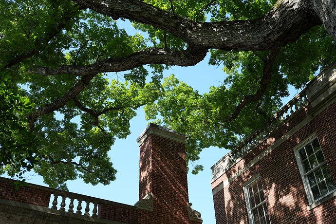 eac415425md099b29a8c648f470a2d41