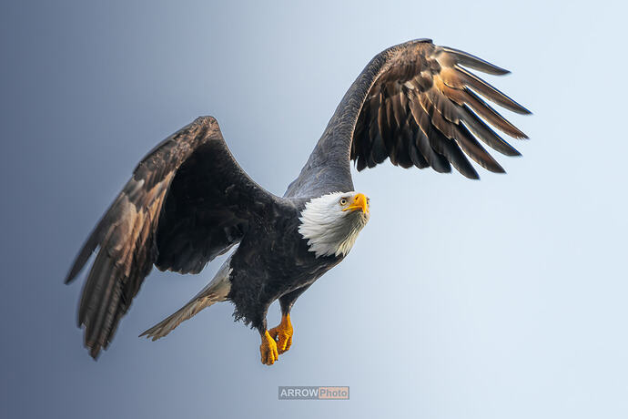 DSC07883-DxO_DeepPRIME XD2s-编辑