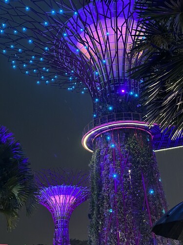 4910184D-E249-4006-9C0F-EC9AA0BDADB1_1_105_c