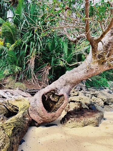 Photo Jul 27 2025, 05 24 55 (29)