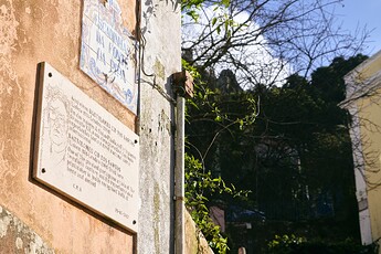 DSC03259