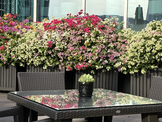 D1F2B79E-1AD4-4D3C-BE09-0FD6F72F4154_1_105_c