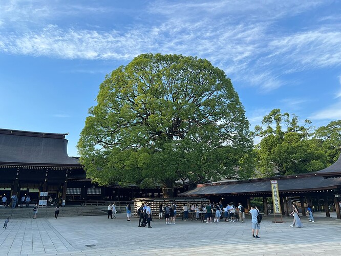 5104EA27-C9EA-463B-8297-CCEB6E47DB38_1_102_a