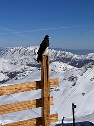 IMG_0742