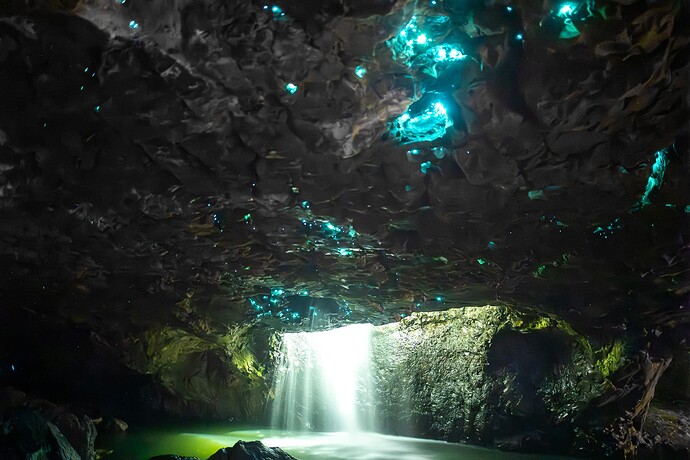 DSC_5232-Enhanced-NR