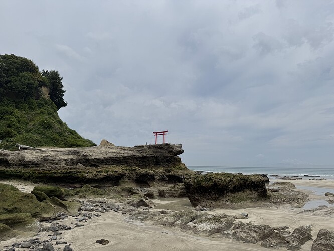 C0E318BF-DD54-494F-A67E-119CC718EE44_1_105_c