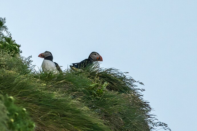 DSC_9602-Enhanced-NR