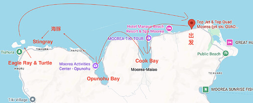 Screenshot 2026-01-31 at 4.31.42 PM