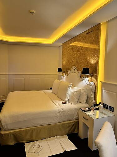 9C577BBE-DB40-4871-9044-76C6BF8CF457_1_105_c