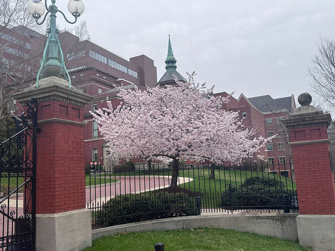 2c18cce16493e86af3d1ff075594e4d2