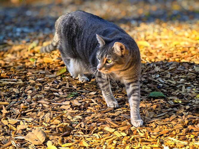 4b14b53060458175fbf2426417565bf3