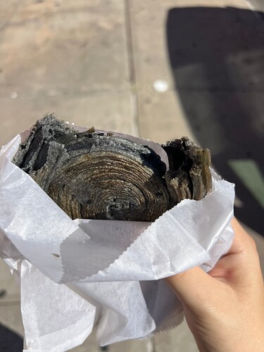 IMG_9182