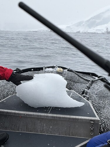 DF948F61-41AA-4090-9FF8-E1DD549498A4_1_105_c