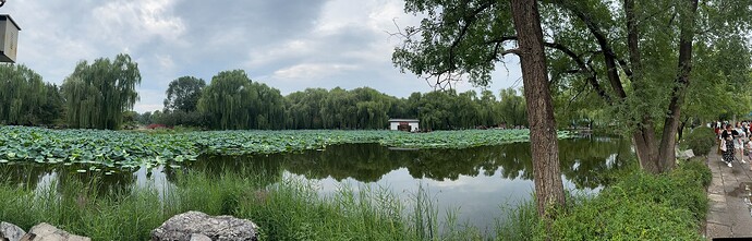 IMG_4918