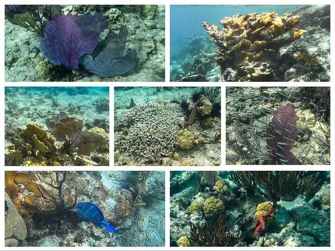 WeChat Image_20240721185806