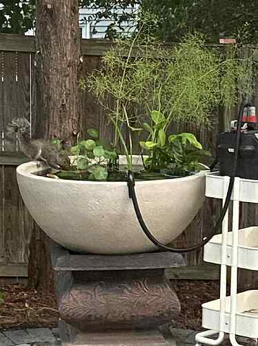 018ade83-a206-441c-9001-c32956125706