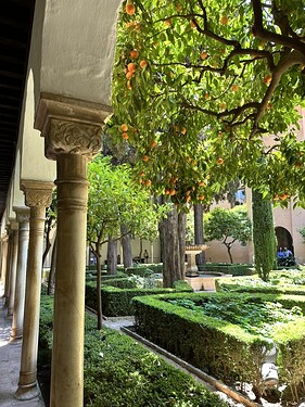 B44EFC16-093A-4F5E-9ADB-243D515EC059_1_105_c