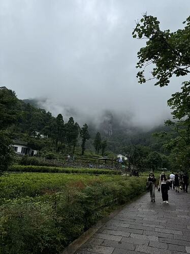 d868e69e4e1f310204ed8944caa07622