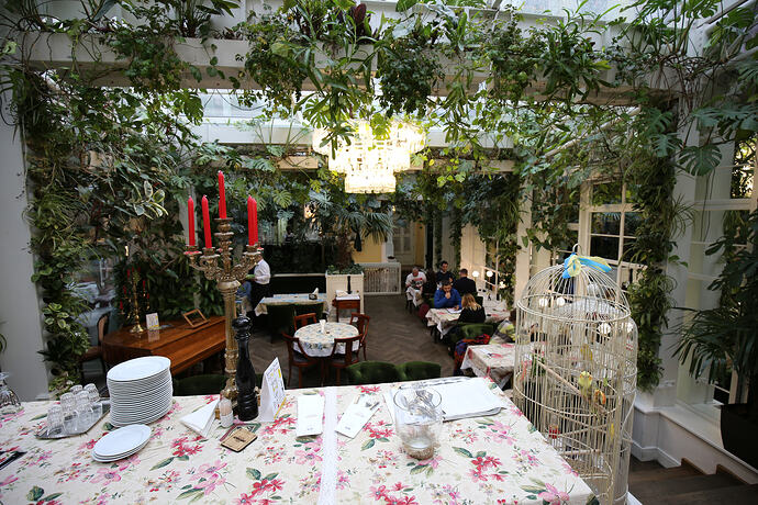 IMG8177
