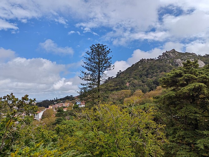 Regaleira Views of Mouros Castle & Pena