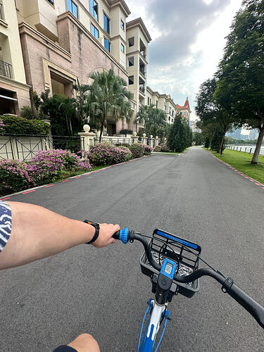 C5D98F9F-8BB9-4D92-8FF1-F556E95FD24F_1_102_o