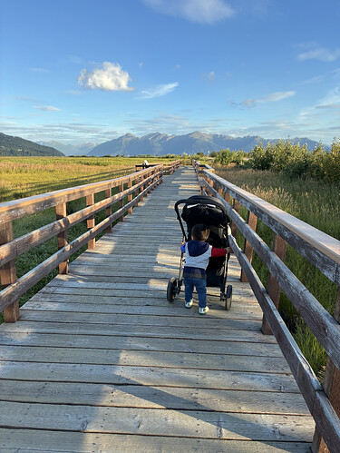 E27979D7-A04E-446A-93E5-0E3867A2D124