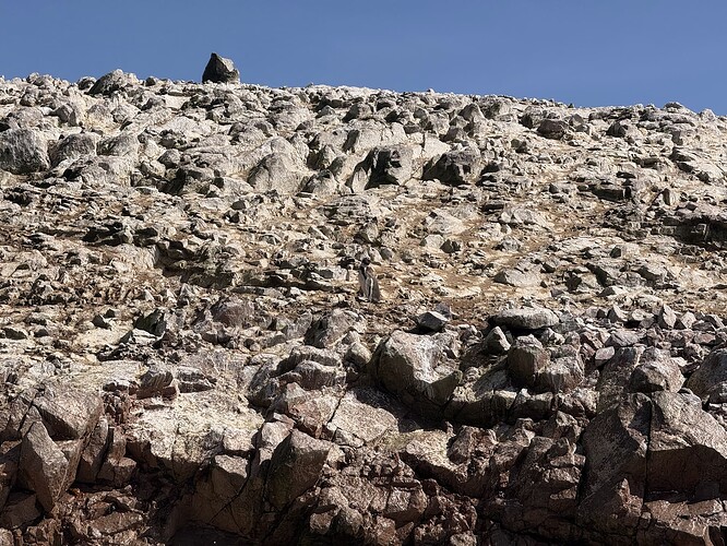 是的这里有个企鹅