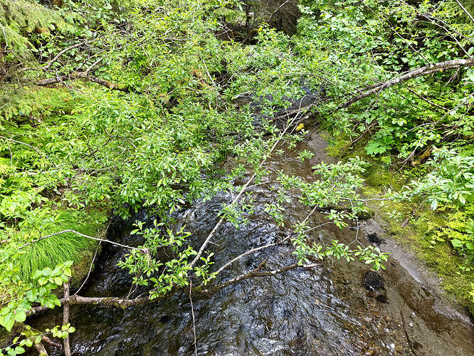 Nugget Falls Trail 大溪