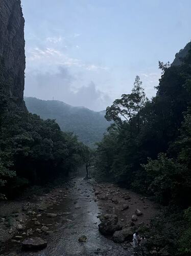 ffc590789050828e1f4b9d1bd24bf850