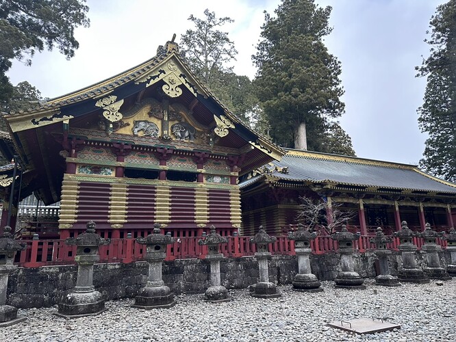 24E3AD51-7F39-48B0-99B5-8CE80CC3114D_1_105_c