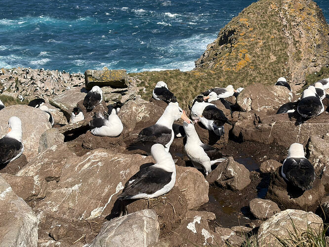 1331EB39-FC42-4B19-973E-D5263310E861_1_102_o