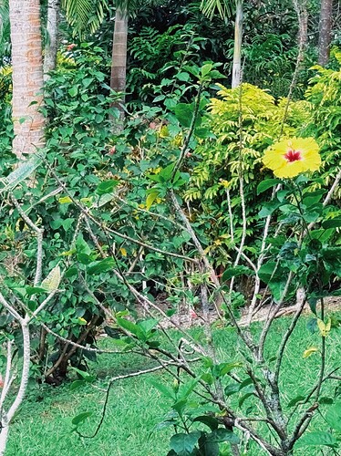 Photo Jul 27 2025, 05 24 55 (14)