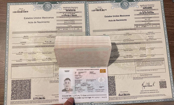 墨西哥护照打码版