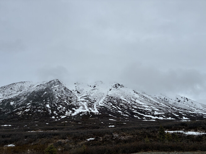 3BB670F5-469F-4360-B8A1-8239032D9858